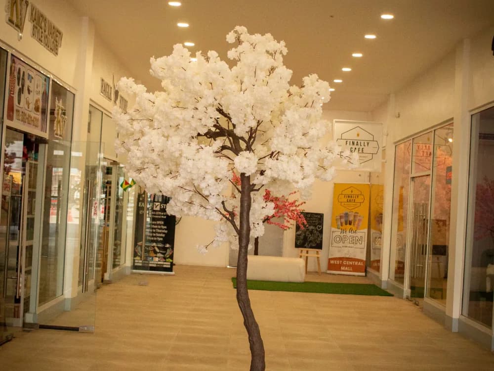 Commercial event photography by BizAssist for West Central Mall